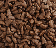 Kitten (Fresh Meat, Grain-free) - For Skin, Immunity & Digestion