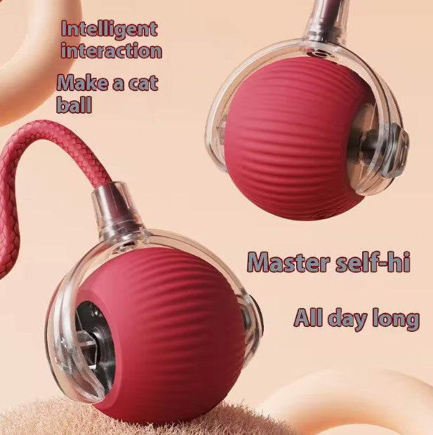 Automatic Smart Pet Ball Toy for Cats & Dogs | Interactive Rolling Ball USB Rechargeable Self Rolling Toy