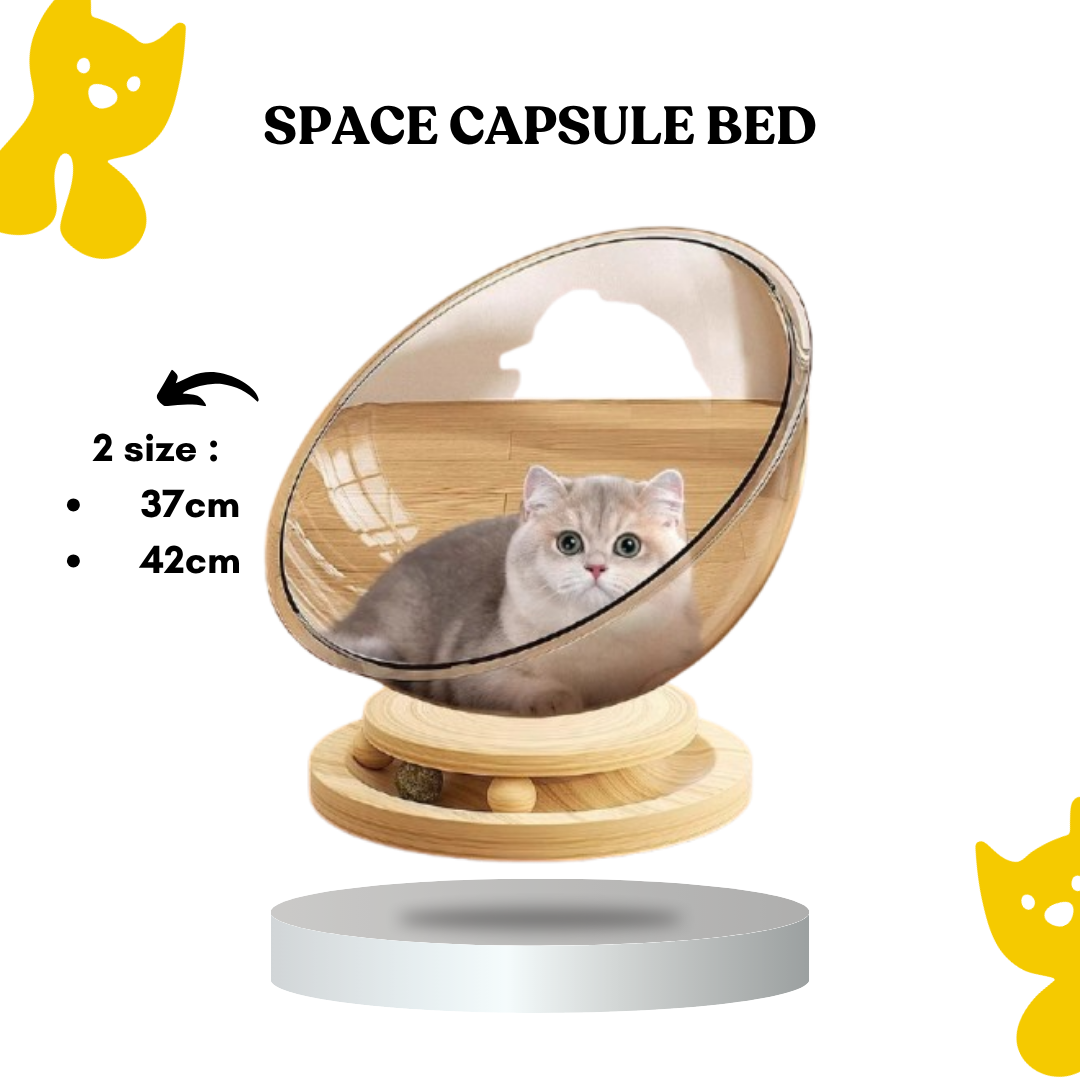 Space Capsule cat nest transparent size 37cm / 42cm