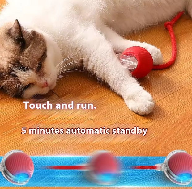Automatic Smart Pet Ball Toy for Cats & Dogs | Interactive Rolling Ball USB Rechargeable Self Rolling Toy