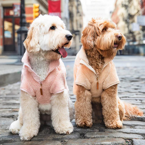 Slow Bake Cat Kibble