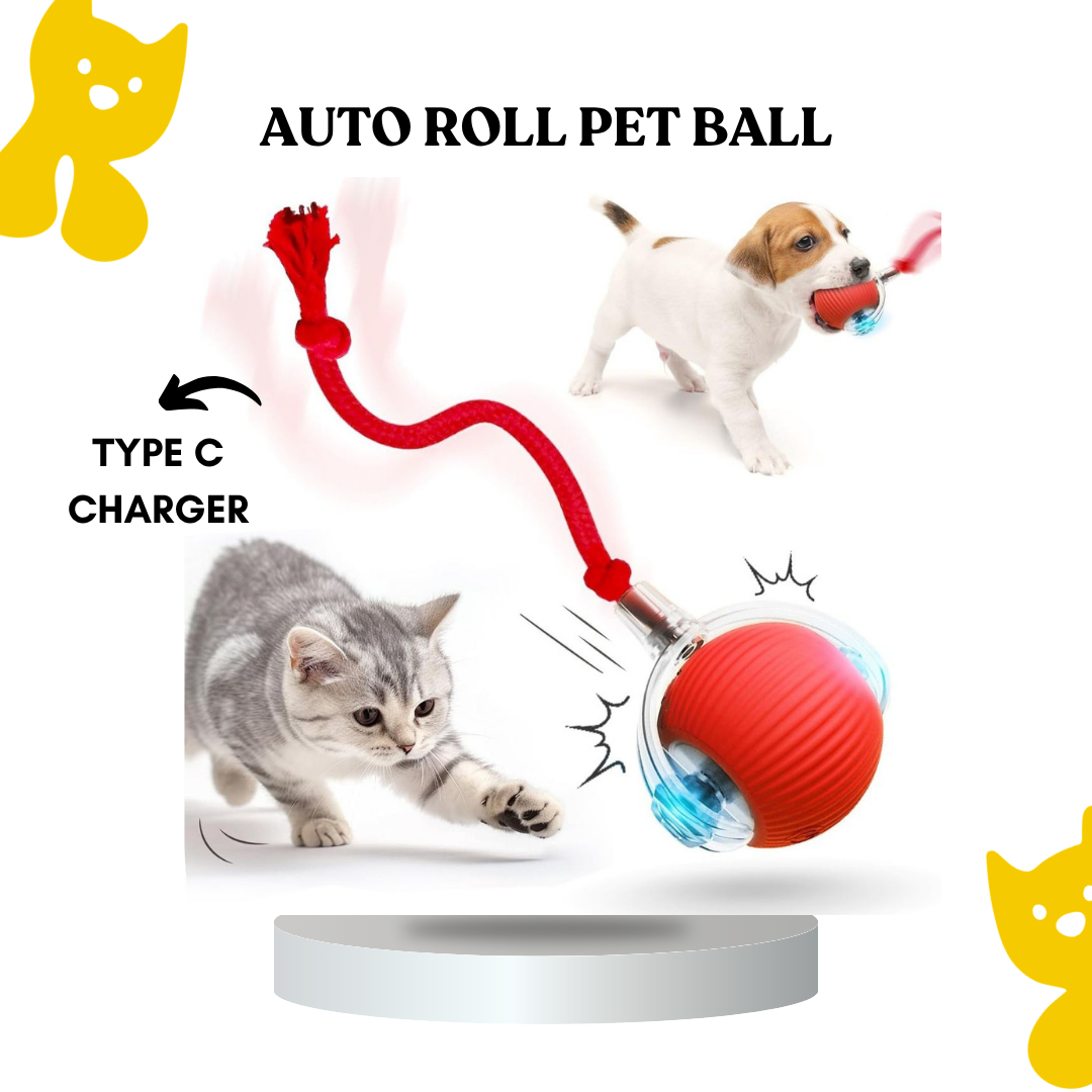 Automatic Smart Pet Ball Toy for Cats & Dogs | Interactive Rolling Ball USB Rechargeable Self Rolling Toy